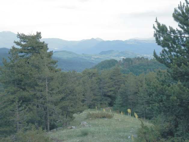 Panorama dalla Pineta